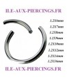 anneau piercing segment