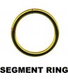 piercing d anneau a segment cercle boucle couleur doré