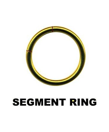 piercing d anneau a segment cercle boucle couleur doré