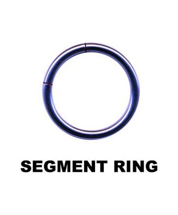 piercing anneau a segment acier couleur vioelt