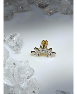 Piercing Helix bijoux oreille tragus conch lob multi strass blanc couleur doré six orelha oor ear