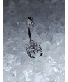 piercing scorpion animal du desert tres jolie en relief inversé nombril 3d
