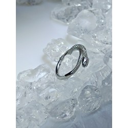 Piercing anneau clickers nez stud narine oreille lobe conch septum helix daith septum