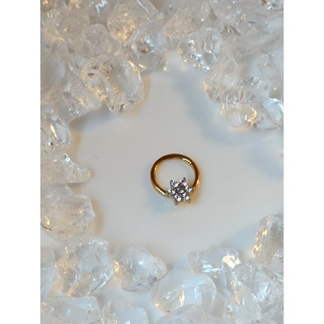 Piercing anneau clickers nez stud narine oreille lobe conch septum helix strass blanc daith septum couleur doré