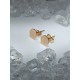 Boucle d oreille femme rond couleur doré rose cuivre puce paire