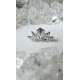 Piercing Helix bijoux oreille tragus conch lob multi strass blanc couleur argenté six orelha oor ear