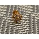Piercing oreille fleur rosace lobe multi strass blanc embout vissable inoxy couleur doré