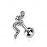 Piercing serpent Anti helix Piercing Lobe Supérieur Piercing Oreille Piercing